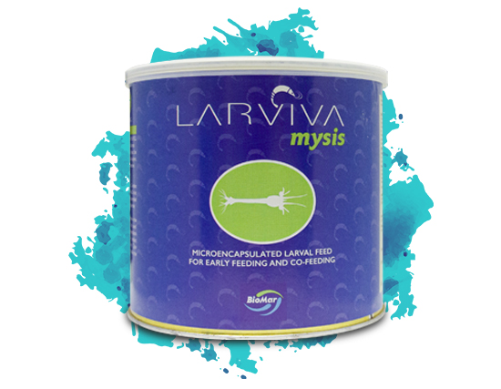 LARVIVA MYSIS